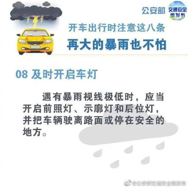 小巷中的神秘宝藏，最新事件预报与特色小店的奇遇